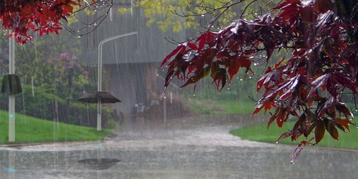 Ankara’da Yağışlar Dur Durak Bilmiyor! Meteoroloji'den Flaş uyarı: 7 Gün Sağanak Yağmur Var! İşte  Ankara 7 Günlük Hava Durumu... 2