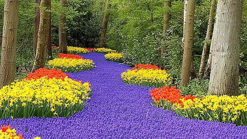 Mayıs Ayında Huzur ve Mutluluğu Bulacak Burçlar Hangisidir? İşte Mayıs'ta Bahar Bahçe Olacak O Burçlar… 1