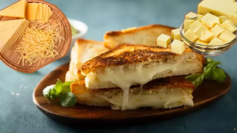 Kaşar Peyniri İle Tost Peyniri Arasındaki Fark Şaşırtacak! Ne Süt Oranı Aynı Ne De Lezzetleri! En iyi tost kaşar peyniri hangisi? 3