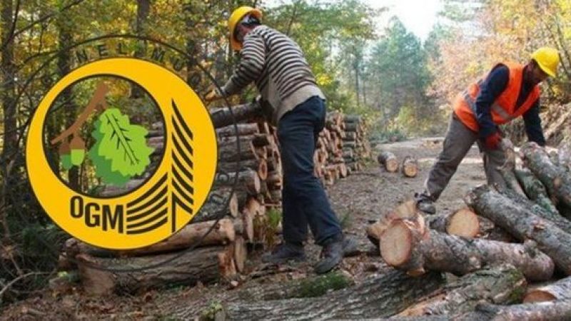 Orman Genel Müdürlüğü 1377 Sözleşmeli Personel Alacak! Tercih Süreci Başladı! 1