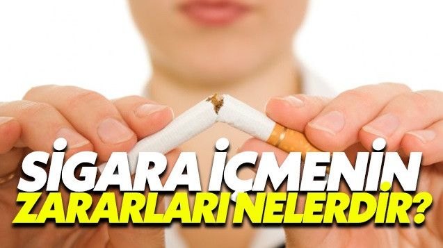 Tütün Mü, Sigara Mı Sağlığa Daha Zararlıdır? Duyunca Şok Olacaksınız... Akciğer Kanseri Riski Yüksek! Tütün ve Sigara Arasında Fark Var mı? 3