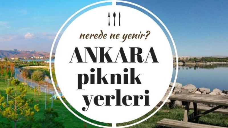 Ankara’da Nerede Piknik Yapılır? Bu Mesire Alanları Piknikçilerle Doluyor! İşte Ankara’da Ailece Piknik Yapılacak En İyi Yerler 2023... 3