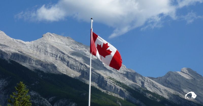Kanada Rekor Maaşla Sağlıkçı Alımı Yapacak: Şartları Sağlayanlar, Kanada’da  Çalışacak! 400 Bin Kanada Doları Maaş… 5