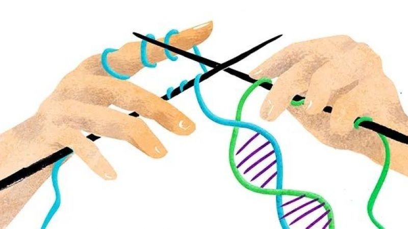 Zekâ anneden mi yoksa babadan mı gelir? Bilim adamları merak edilen gerçeği açıkladı: Zekâ, %60 oranında… 1