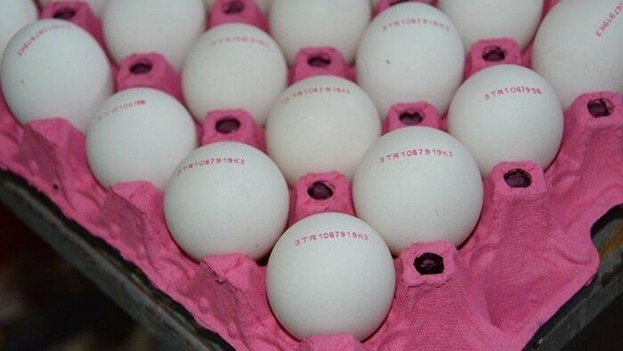 Türk Yumurtası Alarm Verdi! Yumurtalarda Yasaklı Madde Bulundu... Tayvanlılar Açıkladı! Peki  Yumurtalardaki madde nedir? 2