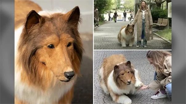 Köpeğe dönüşen adam, sokaklarda gezmeye başladı! 380 bin lira harcayan Japon, artık köpek gibi yaşıyor! “Çocukluk hayalim gerçek oldu!... 1