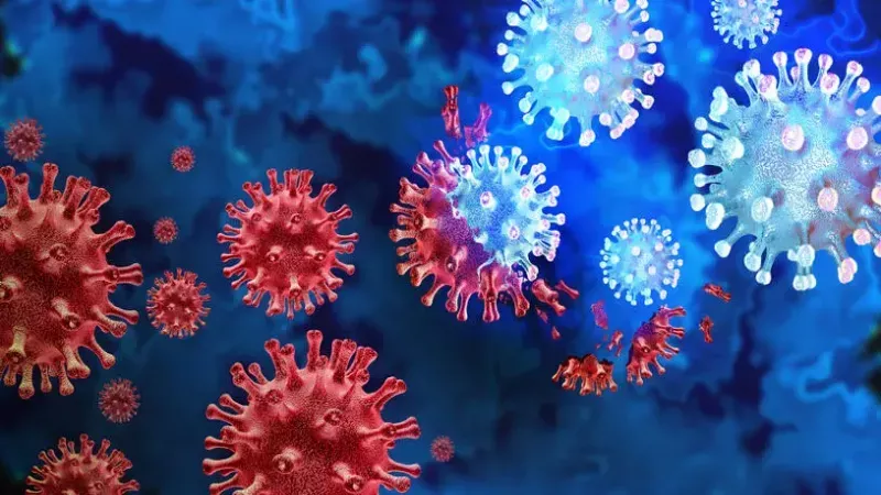 Eris virüsü nedir, belirtileri nelerdir? Eris virüsü bulaşıcı mıdır? Koronavirüsün yeni varyantı, küresel bir salgına dönüşür mü? 4
