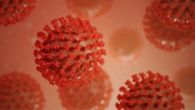 Eris virüsü nedir, belirtileri nelerdir? Eris virüsü bulaşıcı mıdır? Koronavirüsün yeni varyantı, küresel bir salgına dönüşür mü? 1