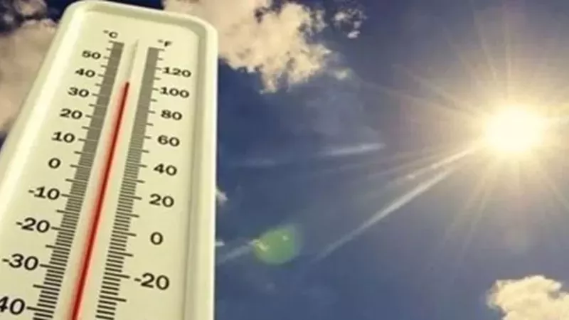 Meteoroloji'den korkutan 'sıcaklık' uyarısı: O tarihlerde 46 dereceye yükselecek... Aman dikkat! 2