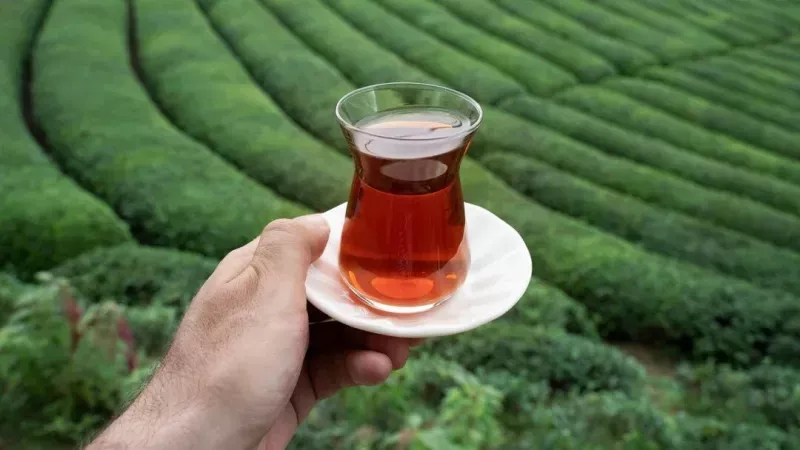Çay fiyatlarına üç ayda üçüncü zam! Okkalı Fiyatları duyanlar şok oldu! Dünyanın en çok çay içen ülkesinde çay fiyatlarına bir zam daha! 3