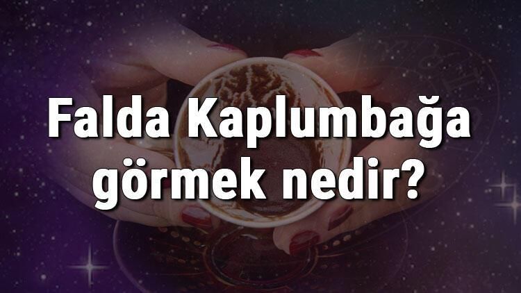 Kahve Falında Kaplumbağa Ne Anlama Gelir? Kahve Falında 2 tane Kaplumbağa Ne Demek? Kahve Falında Ters Dönmüş Kaplumbağa Ne Anlama Gelir? 1