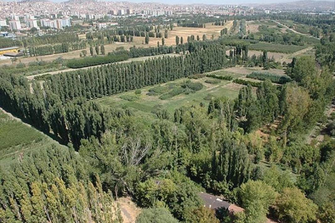 Yapay zeka Ankara Ulus'ta gezilmesi gereken yerleri sıraladı! Cami, hamam, park, müze... Görmeden dönmeyin 2