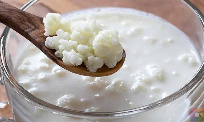 1 bardağında 100 kalori var! Faydaları saymakla bitmiyor… Güzel bir kefir yapmak için en önemli ipuçları 2