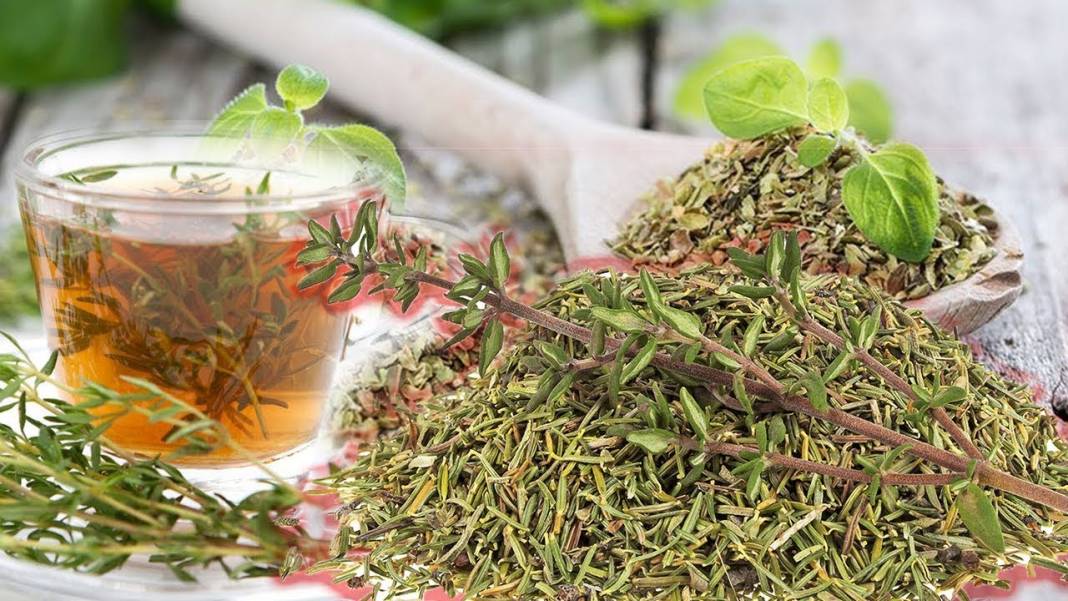 Yemeğin lezzetini artıran o baharat: Tek bardakta 3 beden inceltiyor! Göbek yağlarını çatır çatır yakan o içecek… 1