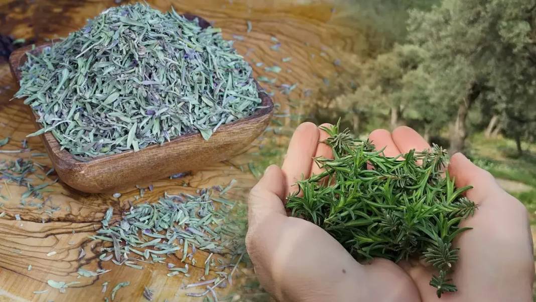 Yemeğin lezzetini artıran o baharat: Tek bardakta 3 beden inceltiyor! Göbek yağlarını çatır çatır yakan o içecek… 3