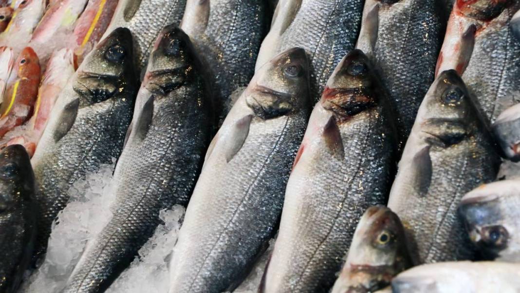 Balık taze mi bayat mı? Rengi, kokusu ele veriyor! Prof.Dr.Karatay’ın balık seçme önerileri… 3