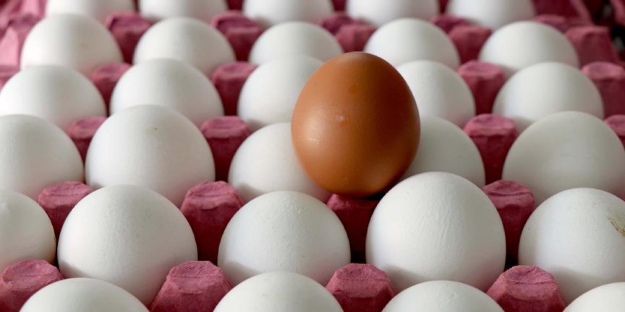 Uzmanlar uyardı: Senelerdir bakterili yumurta yiyormuşuz! Herkesin yaptığı bu hatadan hemen vazgeçin