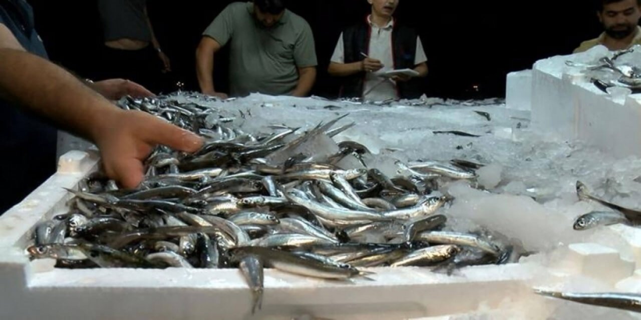 28 Eylül 2023 Perşembe Ankara Balık Hali fiyatları: Rakamlar güncellendi; kalamar, karides, hamsi, istavrit için satışla başladı