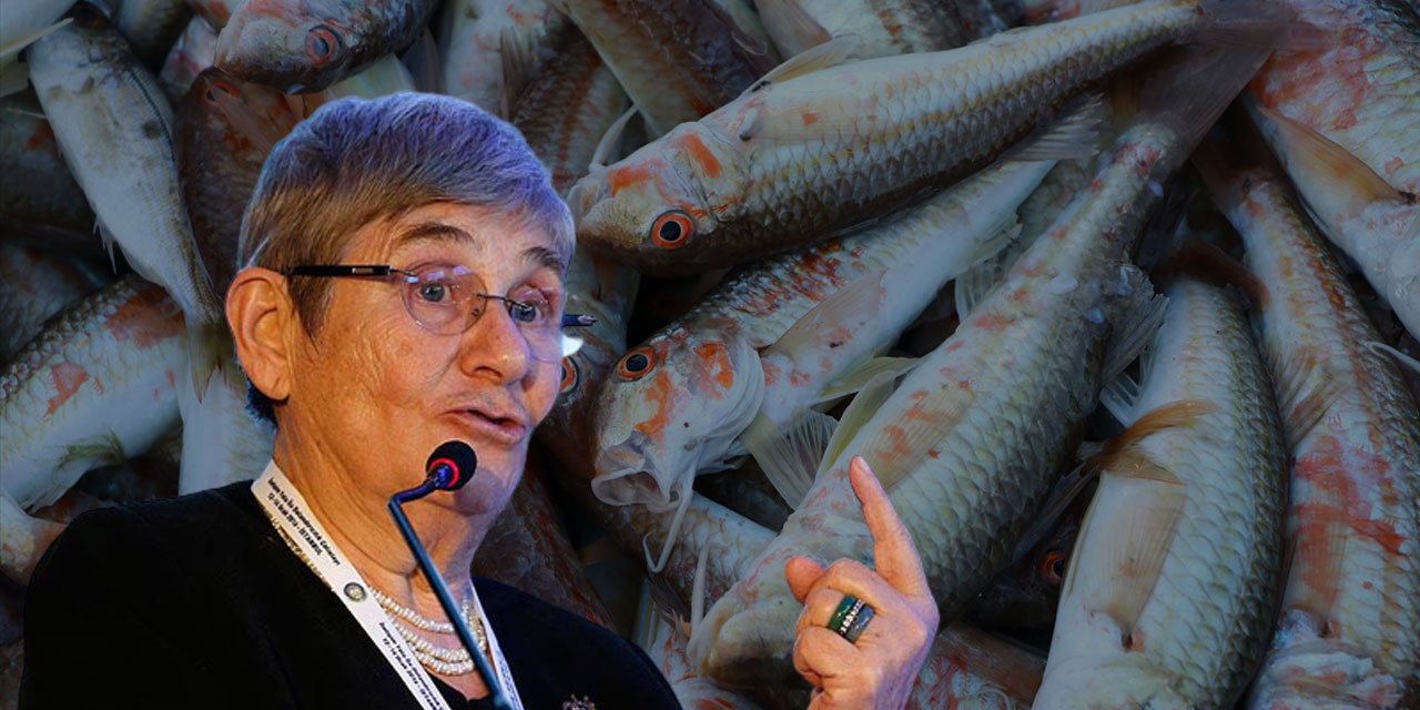 Balık taze mi bayat mı? Rengi, kokusu ele veriyor! Prof.Dr.Karatay’ın balık seçme önerileri…