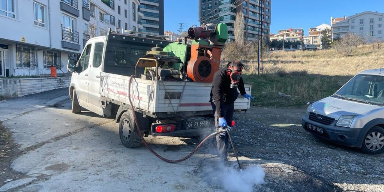 Çankaya’da Dört Mevsim İlaçlama