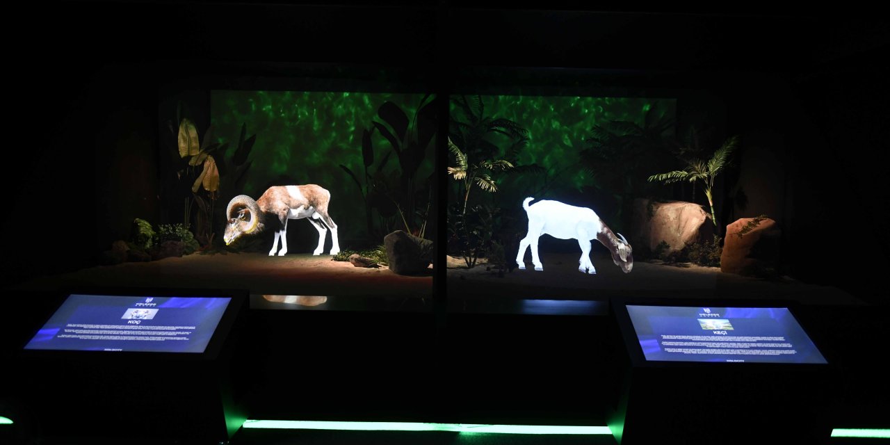 Dünyada Benzeri Yok: Ankara Dijital Hayvanat Bahçesi Açılıyor