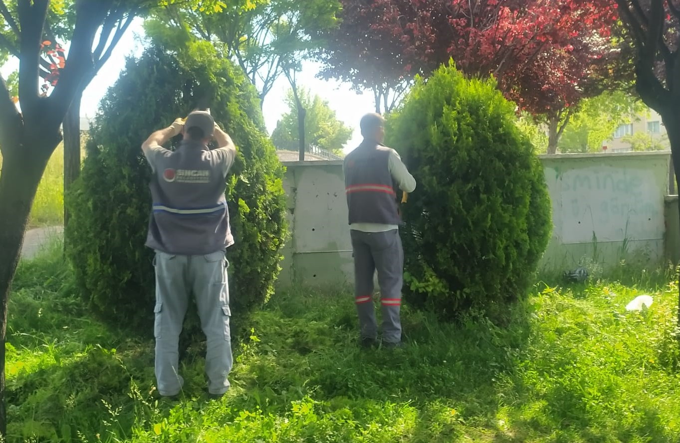 Sincan’da Ağaçlar Sanat Eserine Dönüştü! Ankaralı Vatandaşlar Beğeni Yağdırdı!