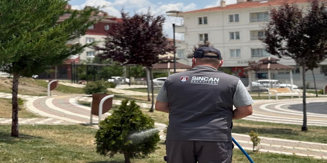 Sincan Belediyesi Keneye Geçit Vermiyor! İlaçlama Çalışması Yoğunlaştı - Ankara Haber