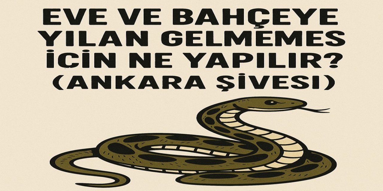 Eve ve Bahçeye Yılan Gelmemesi İçin Ne Yapılır? Ankara Şivesi İle Yılanlar Nasıl Uzak Tutulur Anlattık...