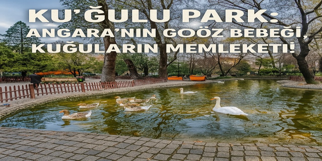 Kuğulu Park: Angara’nın Göz Bebeği, Kuğuların Memleketi! "Hemşerim Nasıl Giderim"