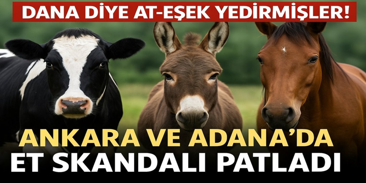Dana Diye At-Eşek Yedirmişler! Ankara ve Adana’da Et Skandalı Patladı... Bakanlık İfşa Etti!
