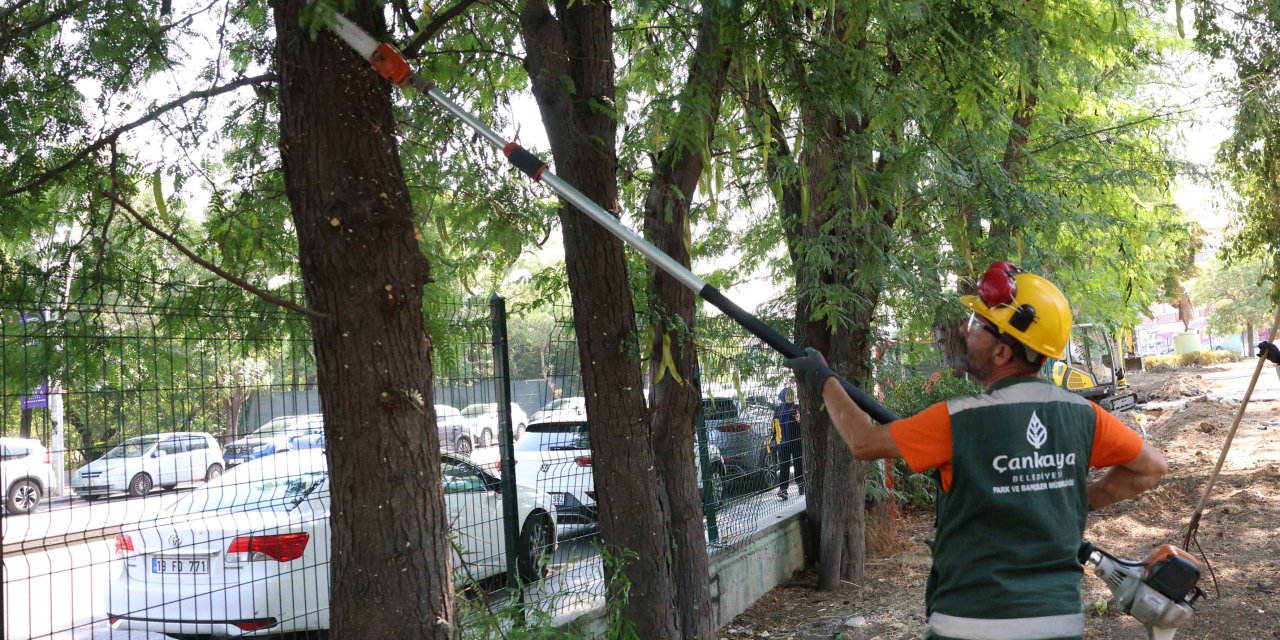 Çankaya’nın Parklarında Yaz Temizliği Başladı: Ekipler Çekiç Gibi İşliyor!