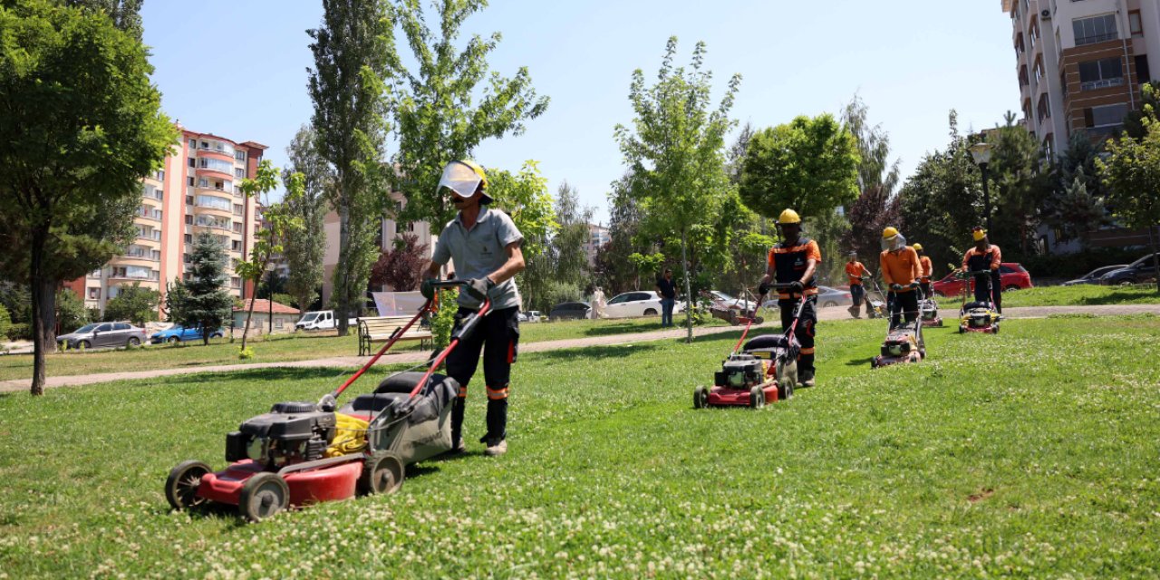 Çankaya Parklarında Yaz Mesaisi! Çim Biçme ve Ot Temizliği Tüm Hızıyla Sürüyor!