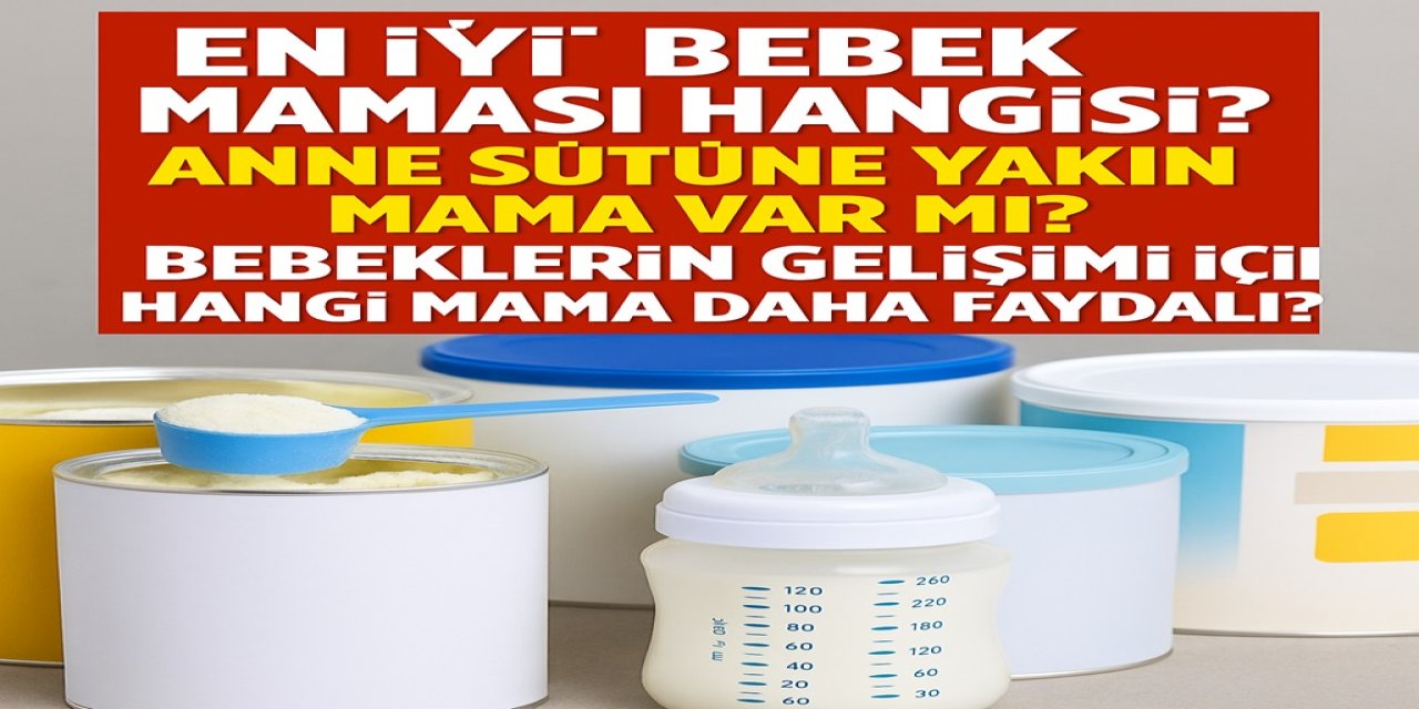 En İyi Bebek Maması Hangisi? Anne Sütüne Yakın Mama Var mı? Beeklerin Gelişimi Hangi Mama Daha Faydalı?