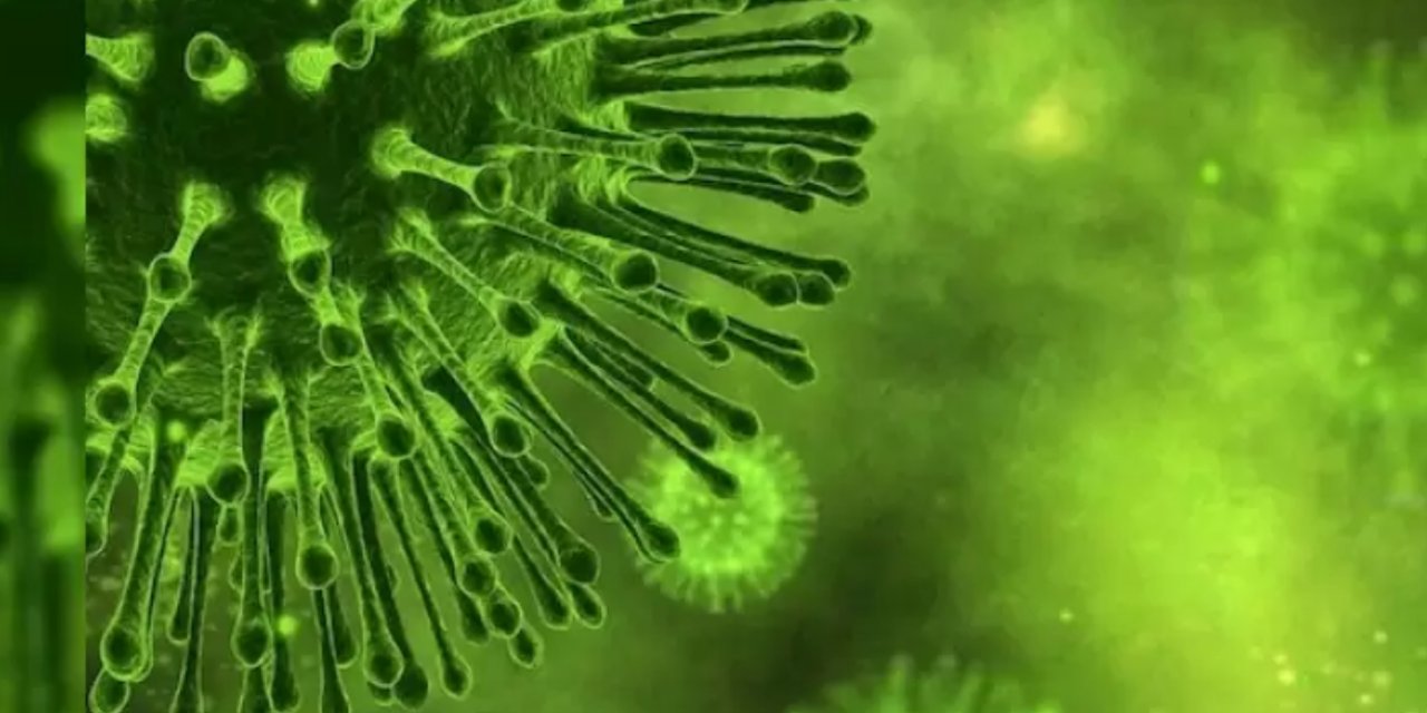 Bu Belirtiler Varsa DİKKAT! Soğuk Algınlığı Gibi Başlıyor Ve Ölüme Sürüklüyor! Uzmanlar Uyardı!