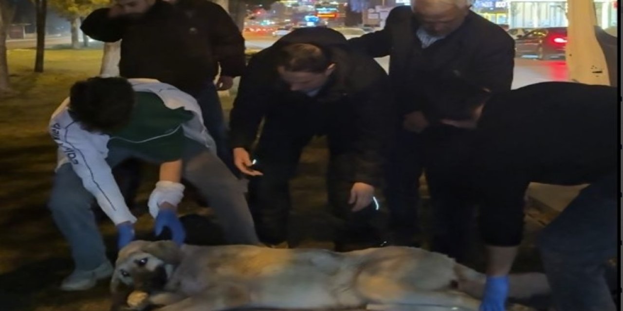 Belediyeyi Aradı, Karşısına Başkan Çıktı! Mamak’ta Gece Yarısı Yaşananlar "Yok Artık" Dedirtti.