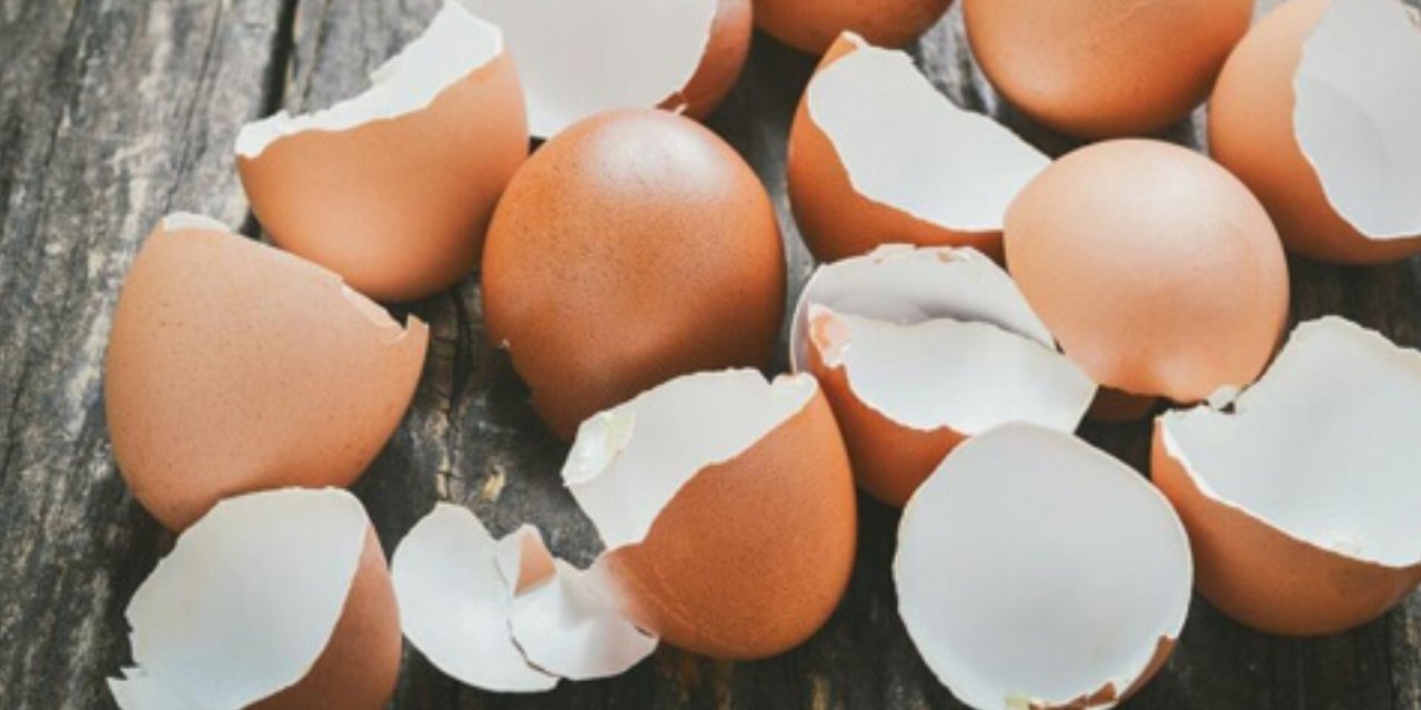 Yumurta Kabuğu Yemek Moda Oldu! Faydaları Neler? Sosyal Medyada Viral Oldu Ama...