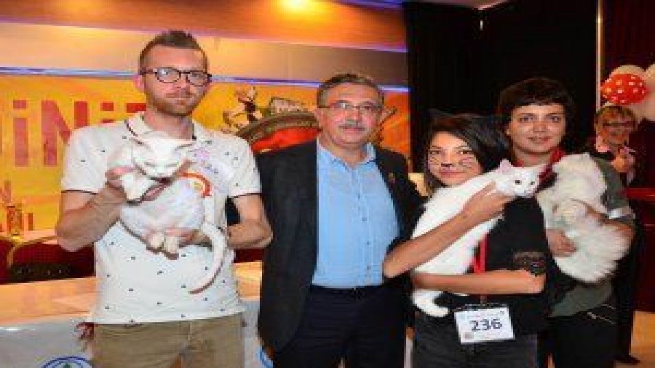 3. Uluslararası Pursaklar Kedi Güzellik Festivali başlıyor