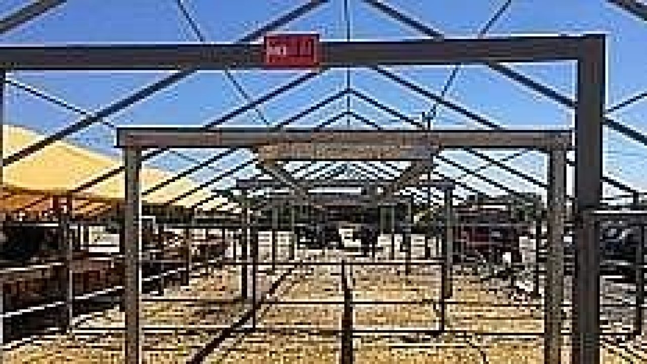 Kurbanlıkların yüzde 90’ı bitti