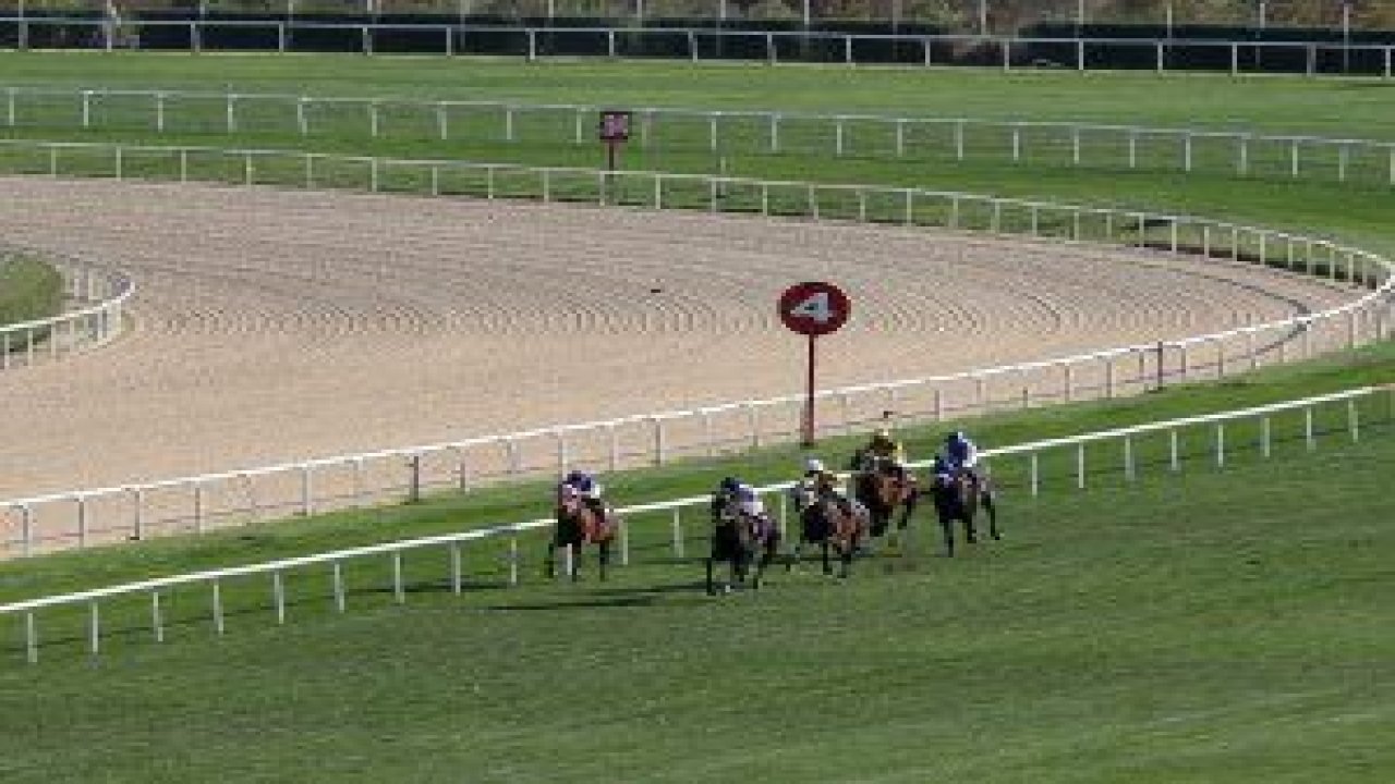 Yenimahalle Belediye Başkanlığı Koşusu yarış severlerin heyecanlı izleyişi ile gerçekleşti