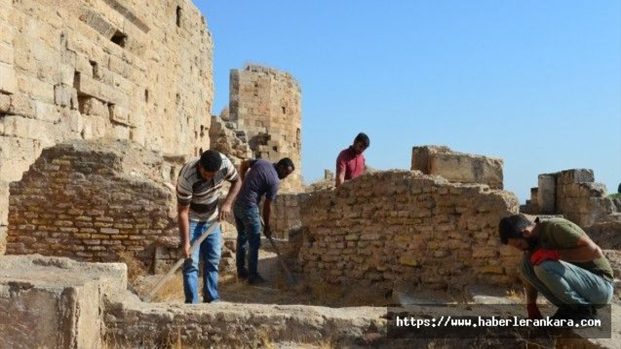 UNESCO adayı Harran Sarayı'nın tarihi netleşiyor