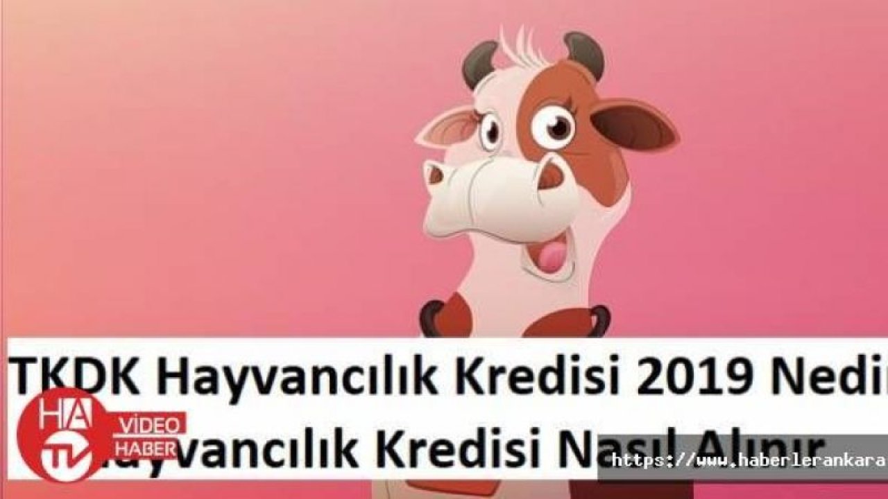 5 Sene Geri Ödemesiz Hayvan Kredisi Nasıl Alınır? TKDK Hayvancılık Kredisi 2019