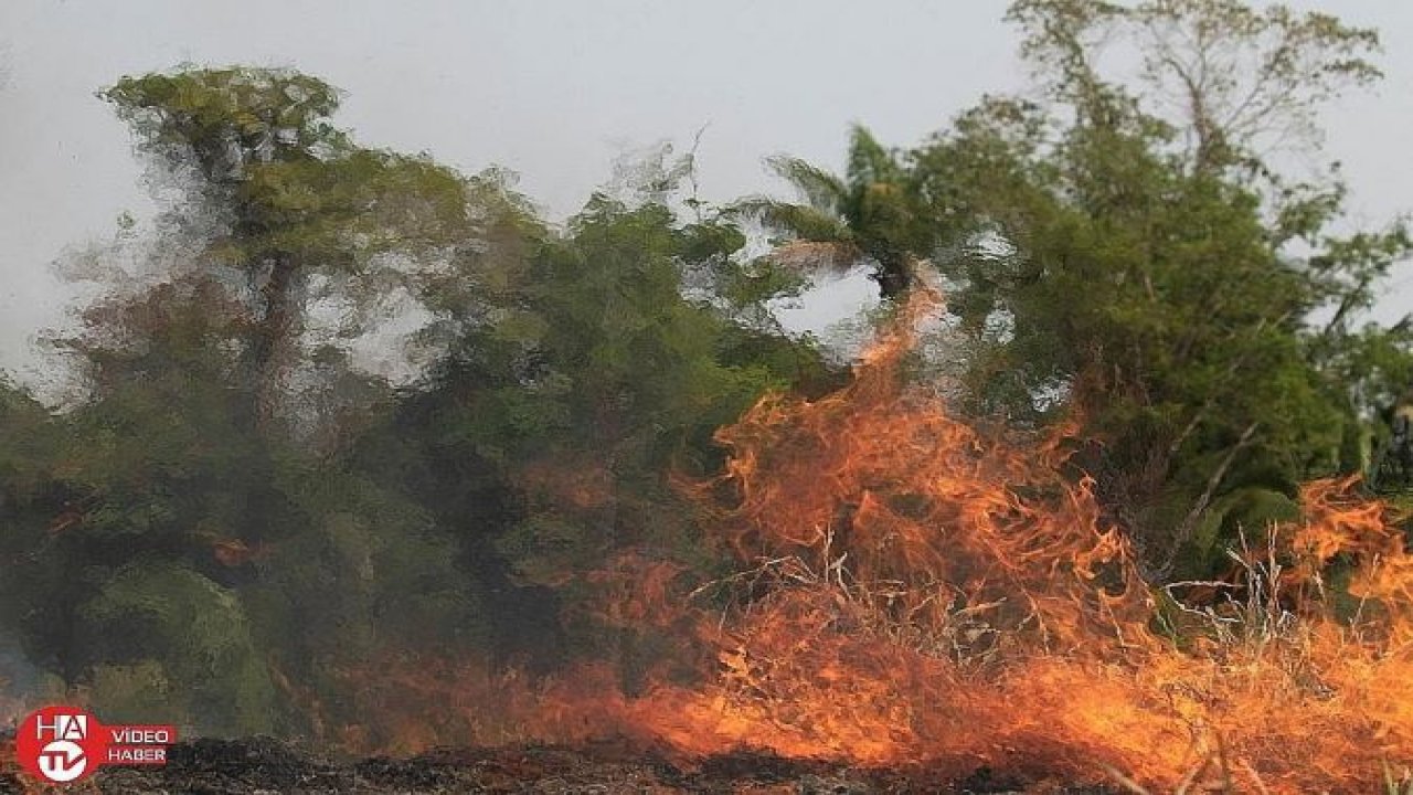Brezilya, G7 ülkelerinin Amazon yangınları için yardım teklifini reddetti