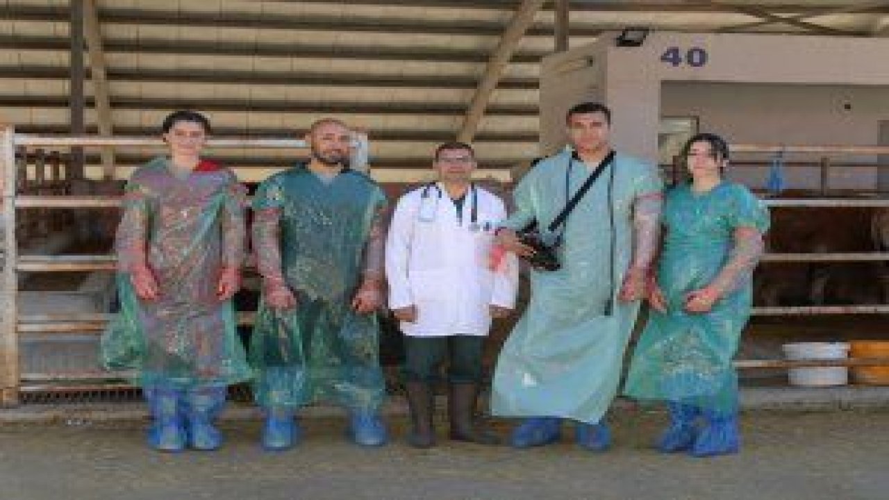 Karapürçek Kurban Satış Merkezi’ndeki hayvanlar veteriner hekimler tarafından denetlendi