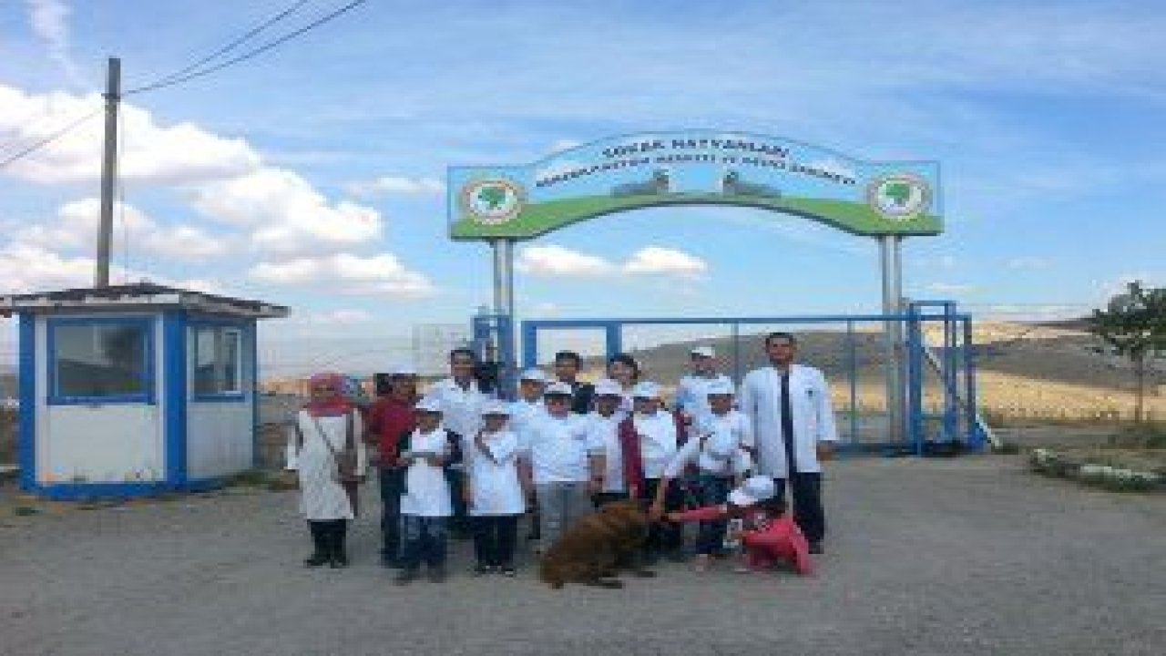 Mamak Belediyesi Sokak Hayvanları Rehabilitasyon Merkezi'nin bu kez ziyaretçileri Çubuk Harika Özel Eğitim Merkezi öğrencileri oldu