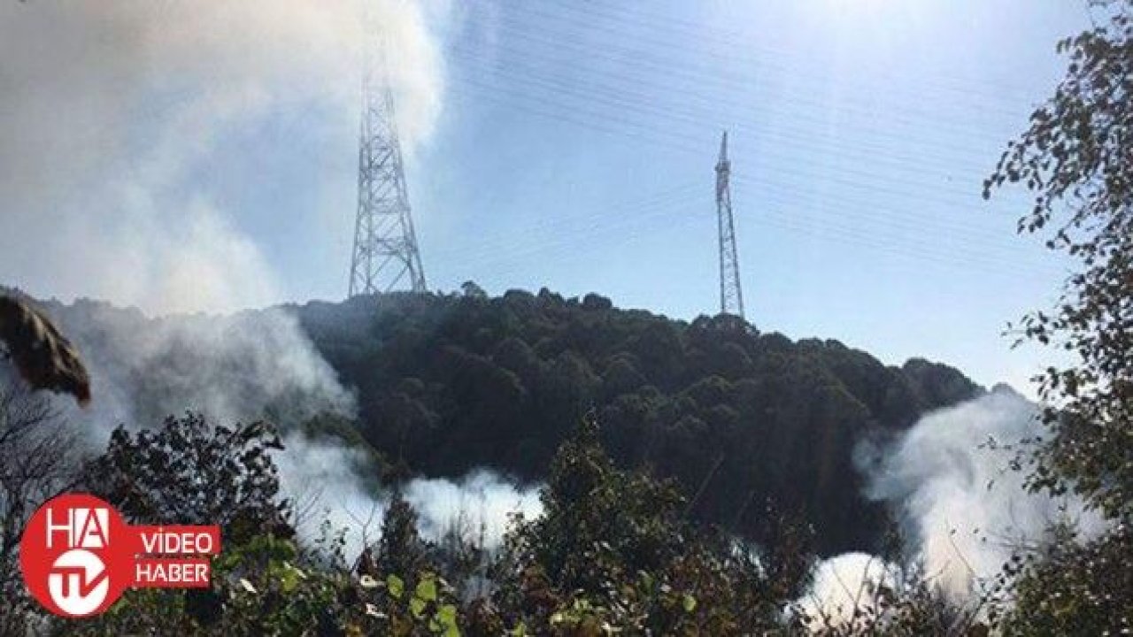 Beykoz Anadolu Kavağı’nda ormanlık alanda yangın
