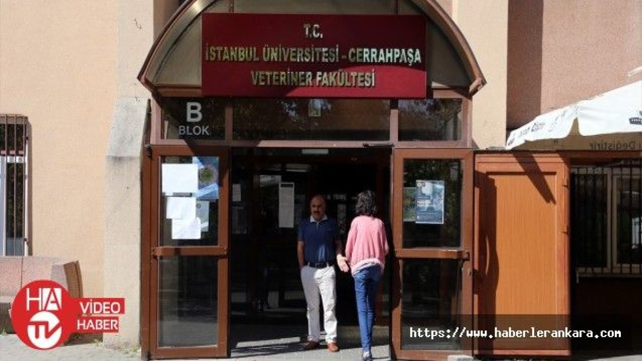 İstanbul Üniversitesi-Cerrahpaşa'da eğitime ara verilmesi