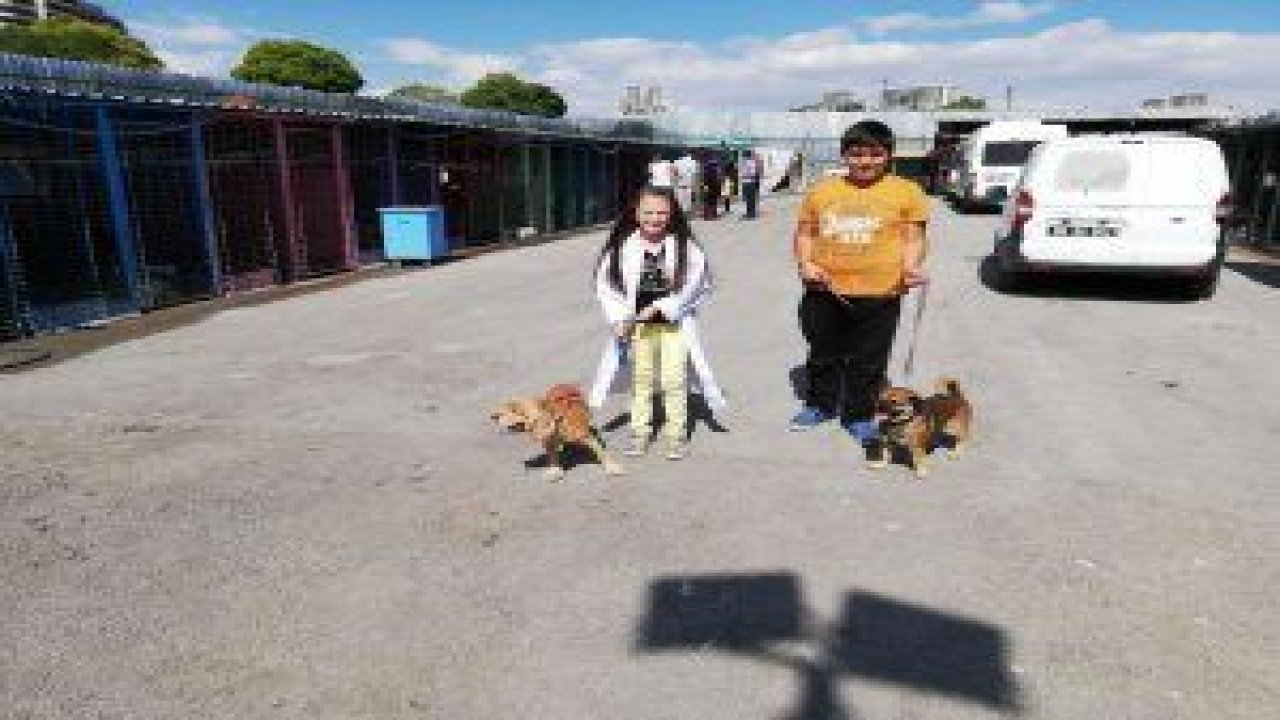 Çocuklar Ovacık’ta bulunan Geçici Sokak Hayvanları Rehabilitasyon Merkezi’ni ziyaret etti