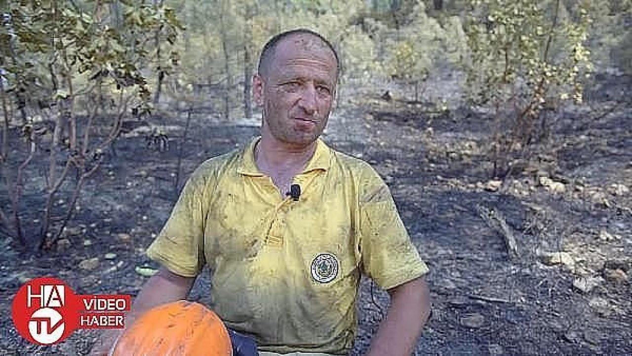 2019'da 3 bin 192 hektar orman yandı