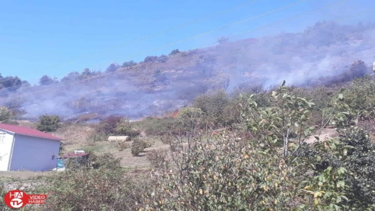 Kastamonu’da ormanlık alanda yangın çıktı