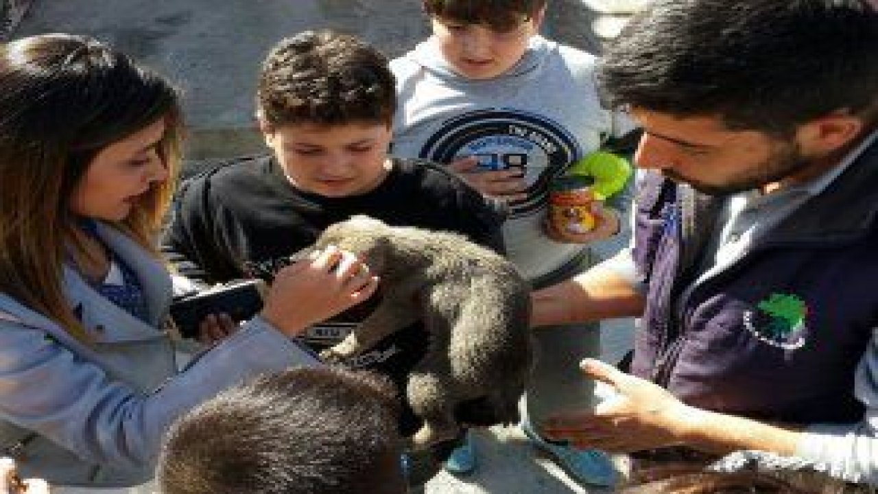 Mamak Belediyesi Hayvanları koruma günü kapsamında, Vadi Koleji öğrencilerini, Mamak Belediyesi Sokak Hayvanları Rehabilitasyon Merkezi’nde ağırladı